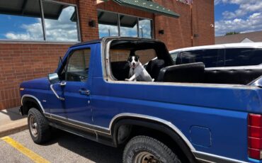 Ford-Bronco-1983-1