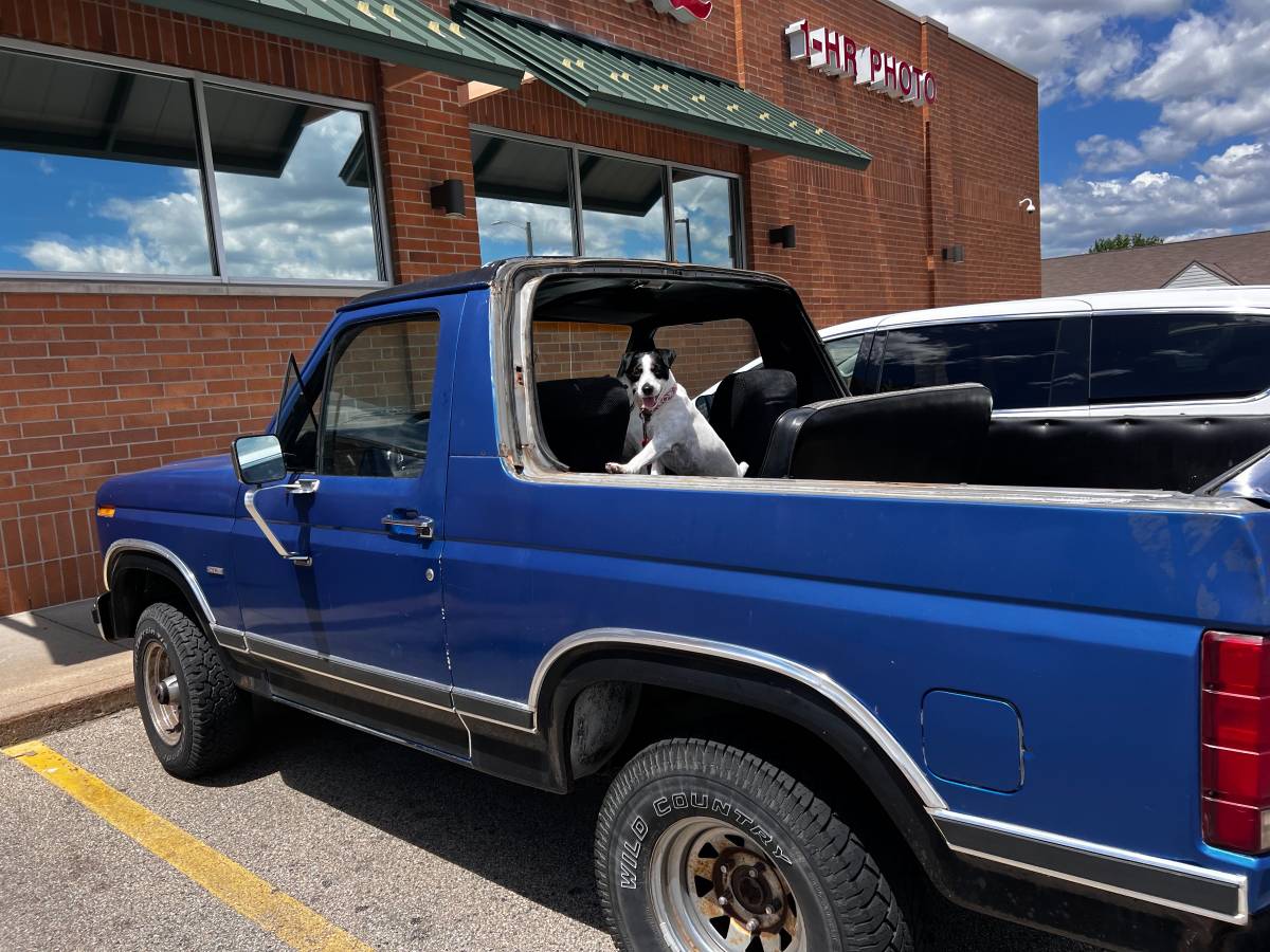 Ford-Bronco-1983-1