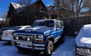 Ford-Bronco-1983-5