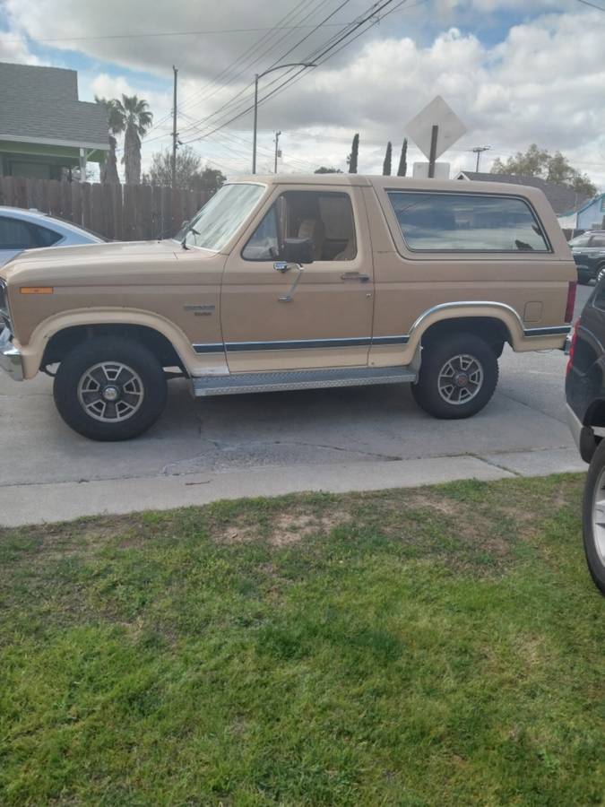 Ford-Bronco-1984-custom-28968-1