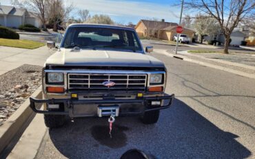 Ford-Bronco-1986-brown-54718-1