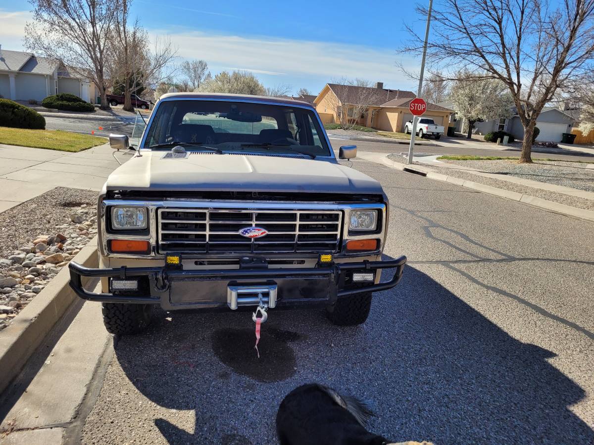 Ford-Bronco-1986-brown-54718-1