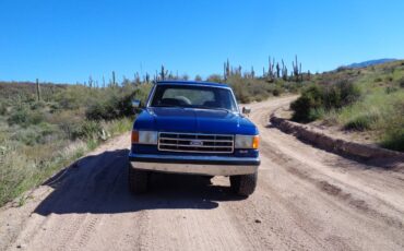 Ford-Bronco-1990-3