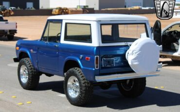 Ford-Bronco-Pickup-1976-6