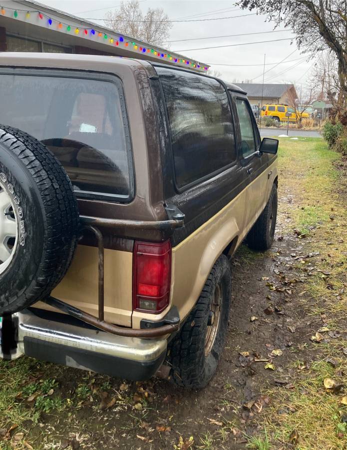 Ford-Bronco-ii-1988-9817-2