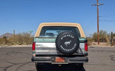 Ford-Bronco-xlt-eddie-bauer-1988-3