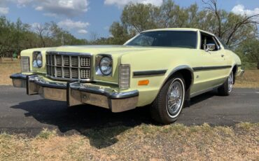 Ford-Elite-Coupe-1976-Green-Green-98856-11