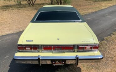 Ford-Elite-Coupe-1976-Green-Green-98856-4