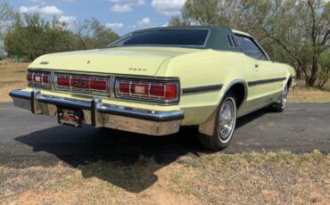 Ford-Elite-Coupe-1976-Green-Green-98856-5