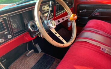 Ford-F-100-1973-red-193121-6