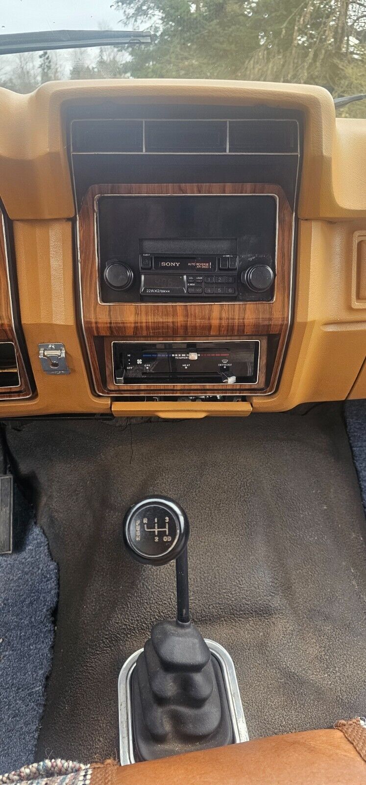 Ford-F-100-1980-25