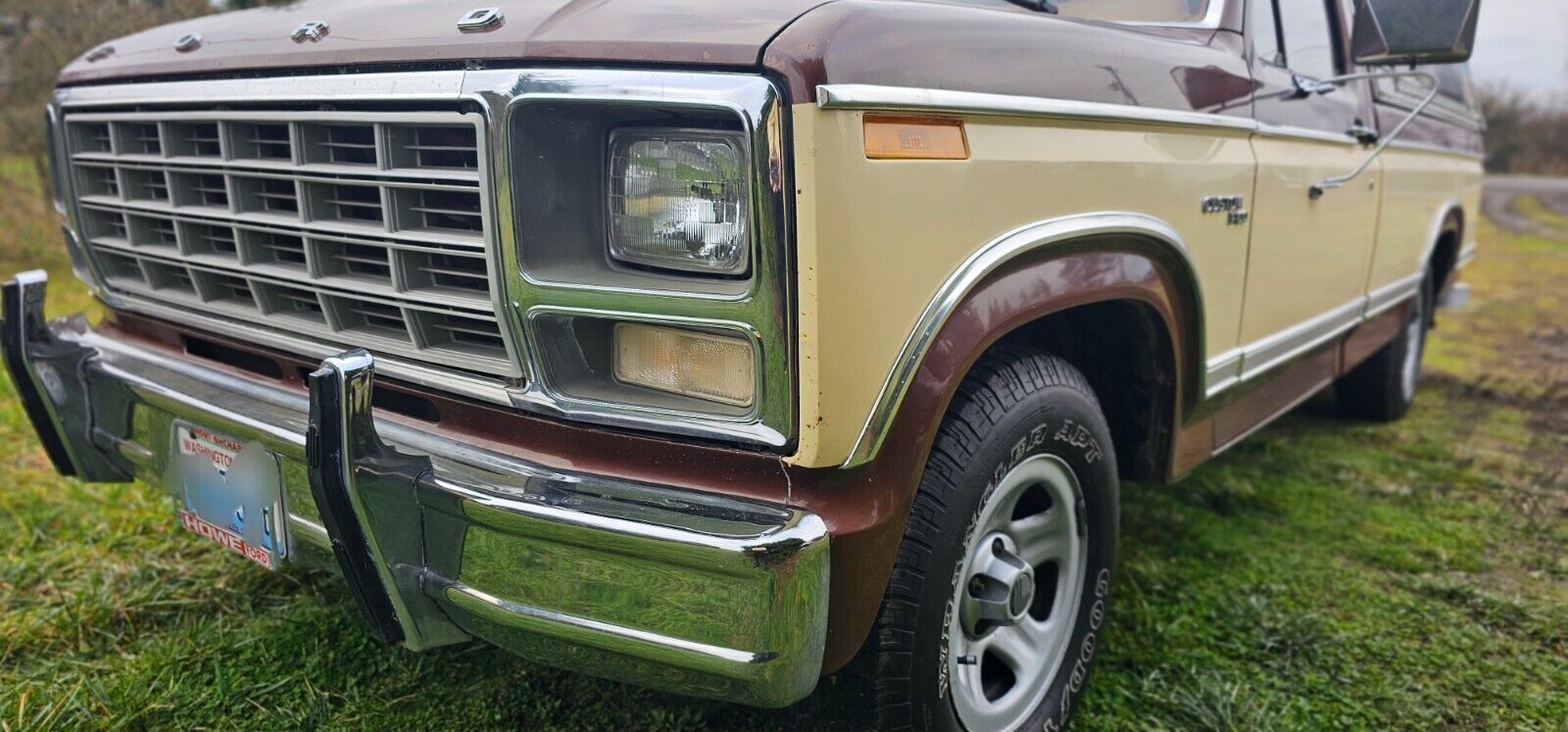 Ford-F-100-1980-3