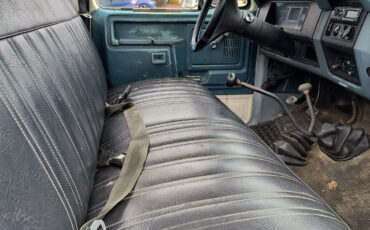 Ford-F-150-1981-Blue-Blue-160622-10