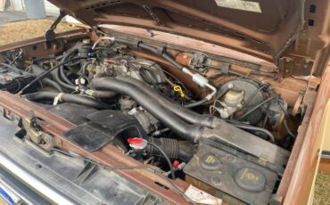 Ford-F-150-1991-brown-166499-11