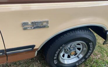 Ford-F-150-1991-brown-166499-12