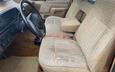 Ford-F-150-1991-brown-166499-3