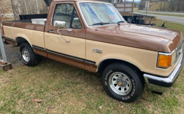 Ford-F-150-1991-brown-166499