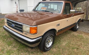 Ford-F-150-1991-brown-166499-5