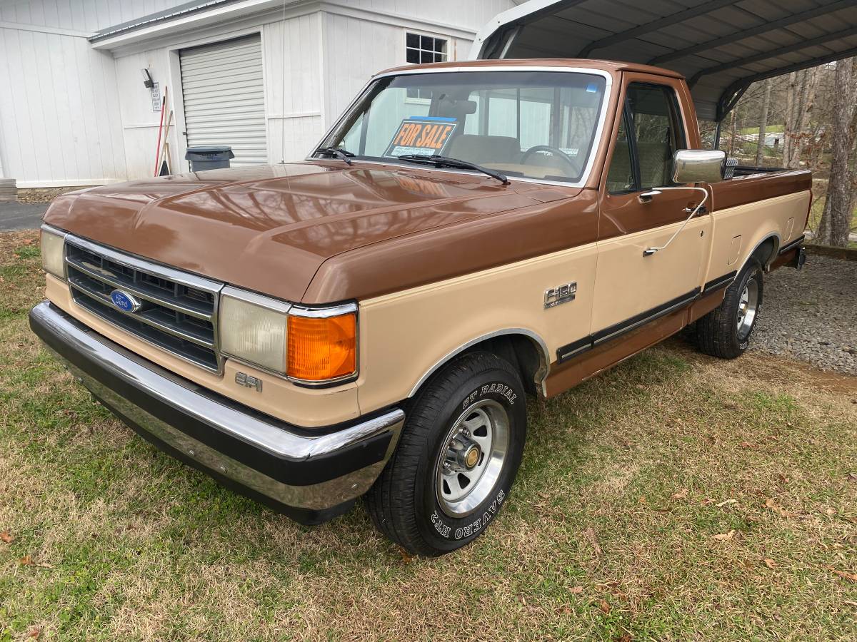 Ford-F-150-1991-brown-166499-5