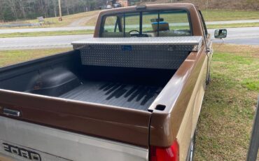 Ford-F-150-1991-brown-166499-6