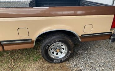 Ford-F-150-1991-brown-166499-8