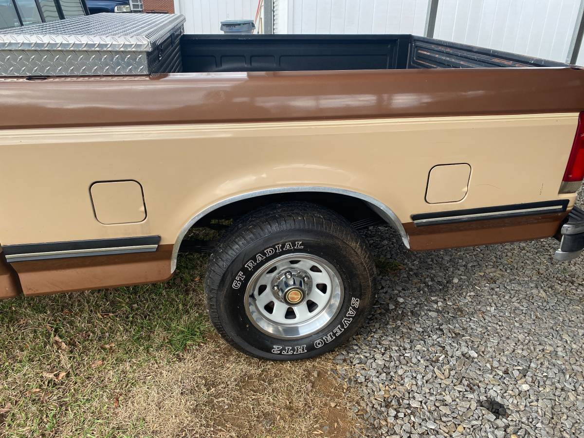 Ford-F-150-1991-brown-166499-8