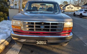 Ford-F-150-1994-silver-127943