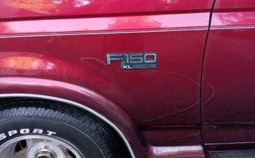 Ford-F-150-1995-custom-4828-13