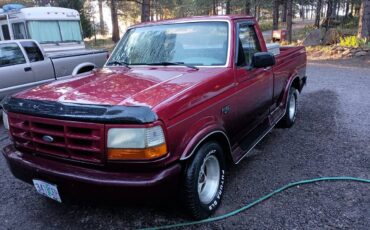 Ford-F-150-1995-custom-4828-3