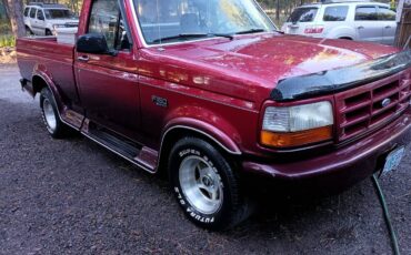 Ford-F-150-1995-custom-4828