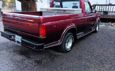 Ford-F-150-1995-custom-4828-4