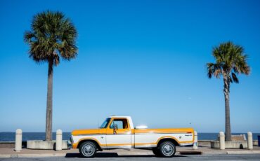 Ford-F-150-Pickup-1976-1