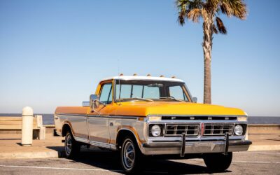 Ford F-150 Pickup 1976 à vendre