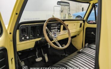 Ford-F-150-Pickup-1979-Cream-Black-16391-4