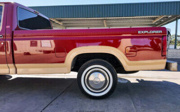 Ford-F-150-Pickup-1985-4