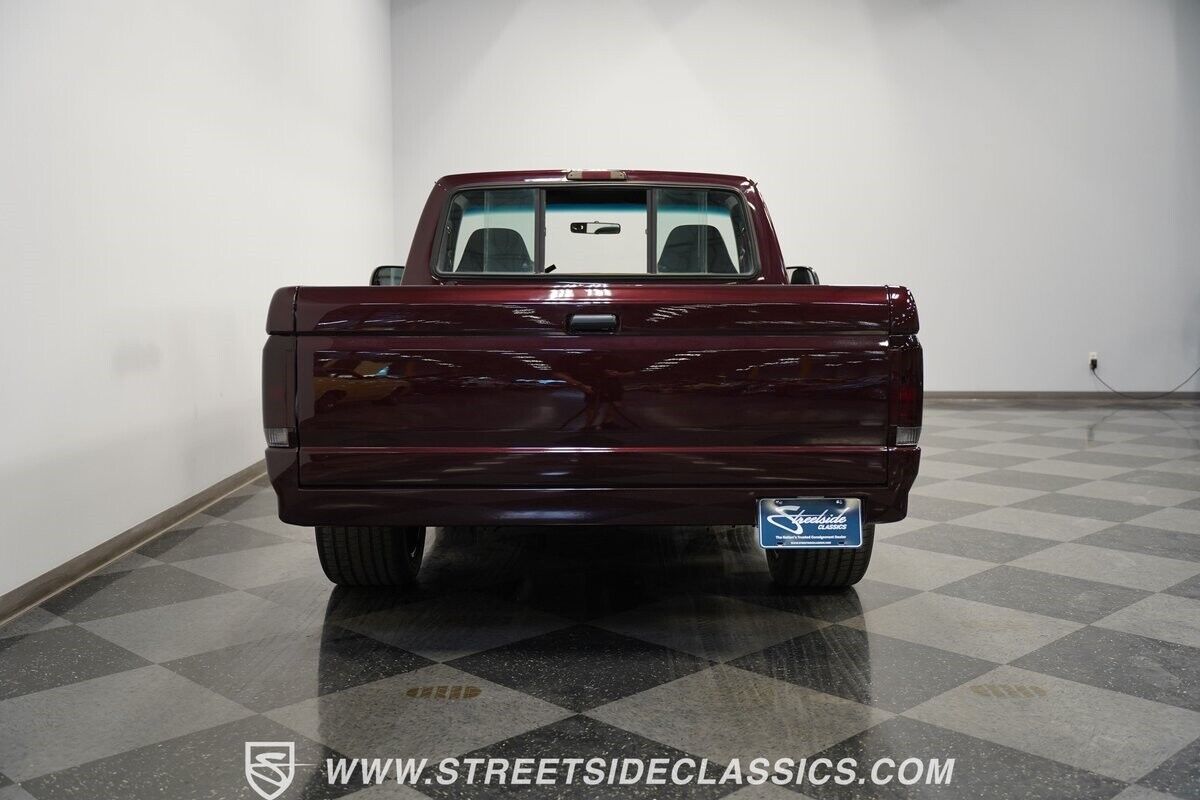 Ford-F-150-Pickup-1995-10