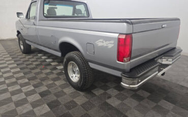 Ford-F-150-Pickup-1995-Gray-Gray-131660-3