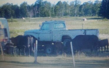 Ford-F-250-1962-2-19