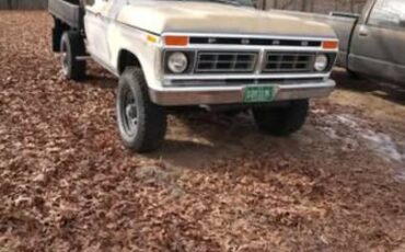 Ford-F-250-1975-74363-7