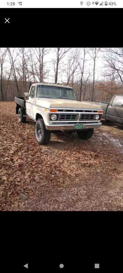 Ford-F-250-1975-74363-7