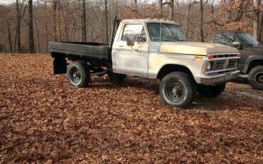 Ford-F-250-1975-74363-8