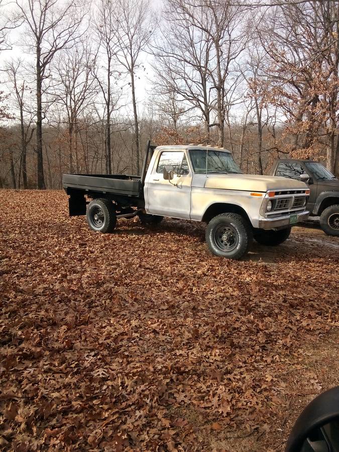 Ford-F-250-1975-74363-8