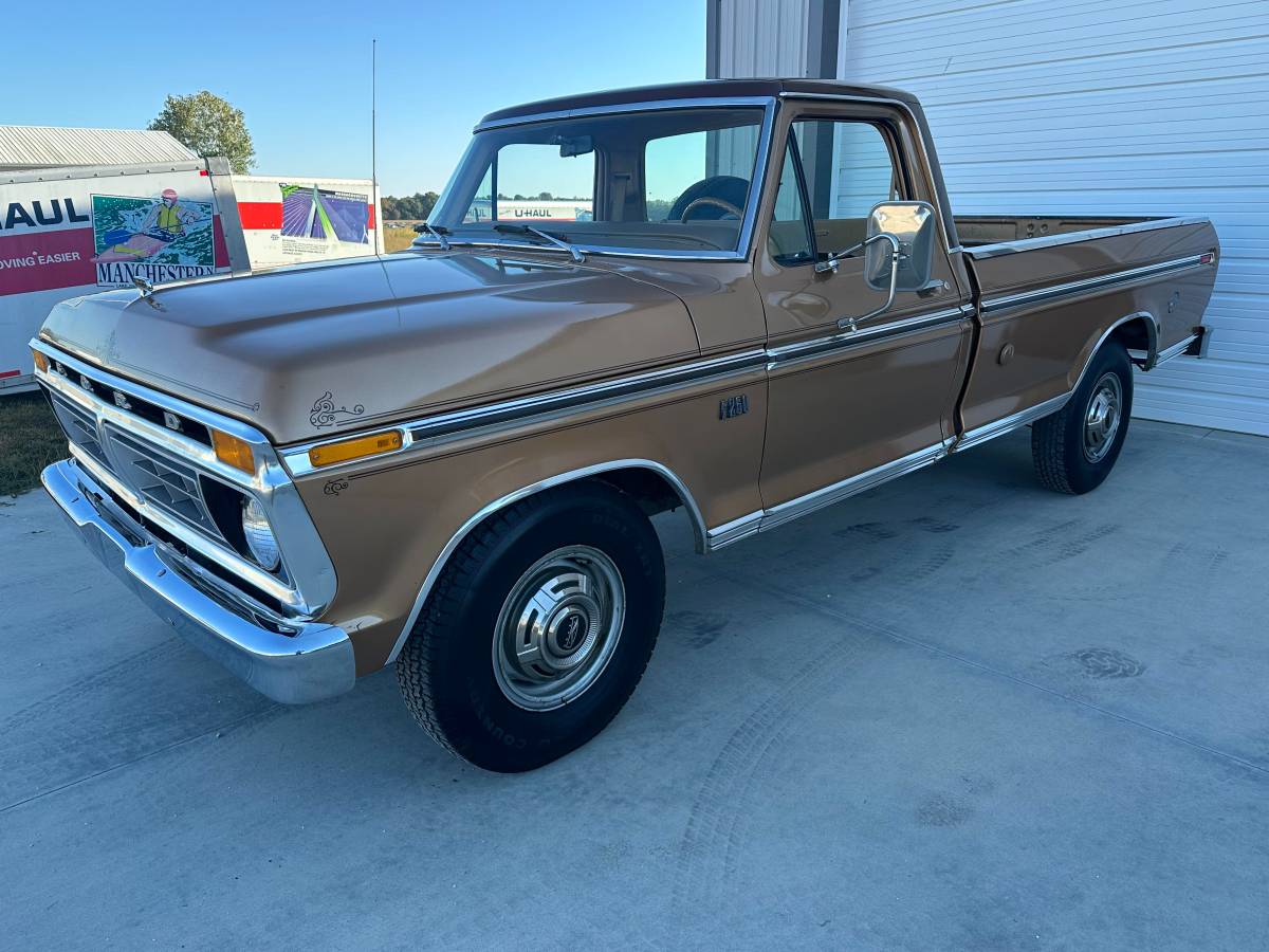 Ford-F-250-1976-brown-111246-1