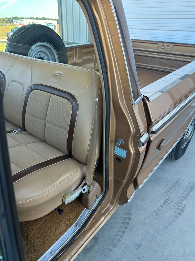 Ford-F-250-1976-brown-111246-14