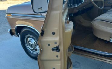 Ford-F-250-1976-brown-111246-15