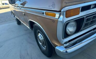 Ford-F-250-1976-brown-111246-16