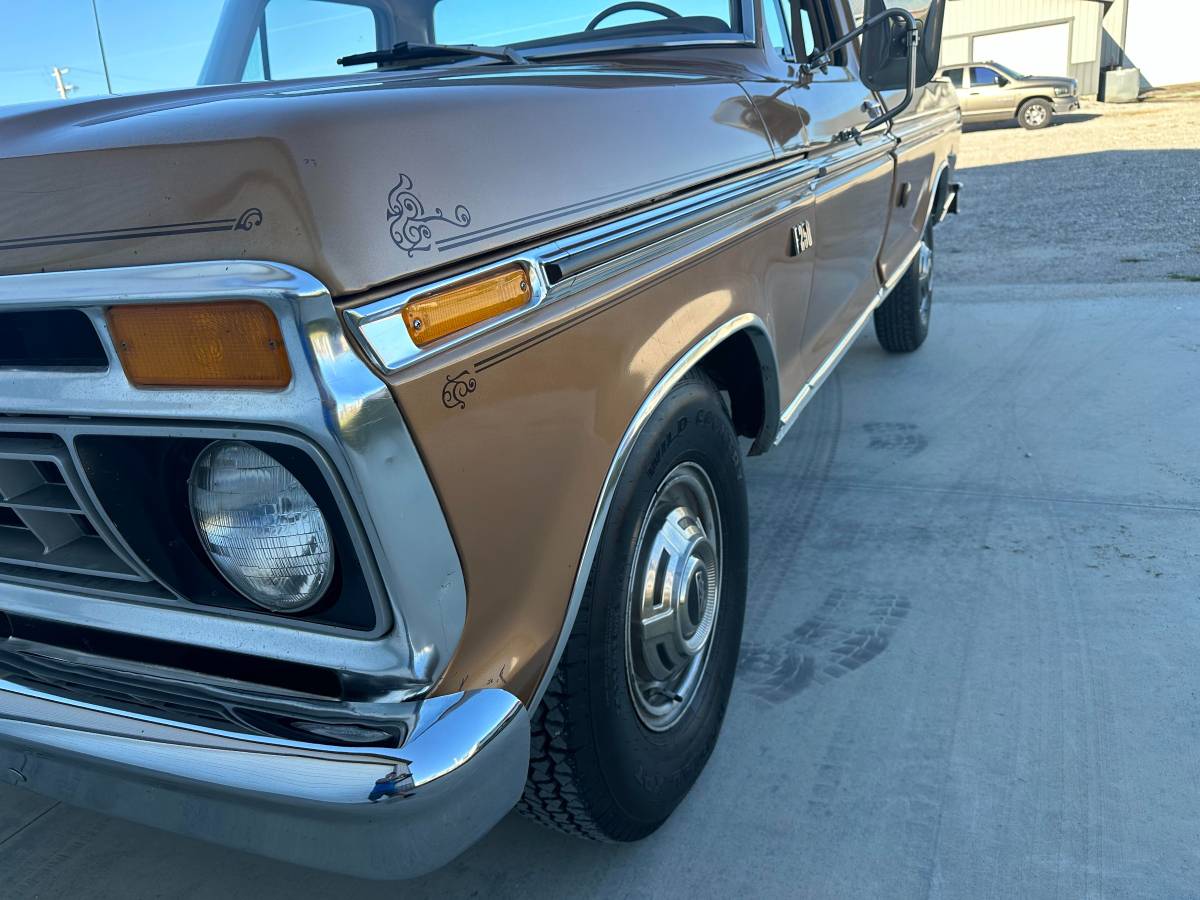 Ford-F-250-1976-brown-111246-17