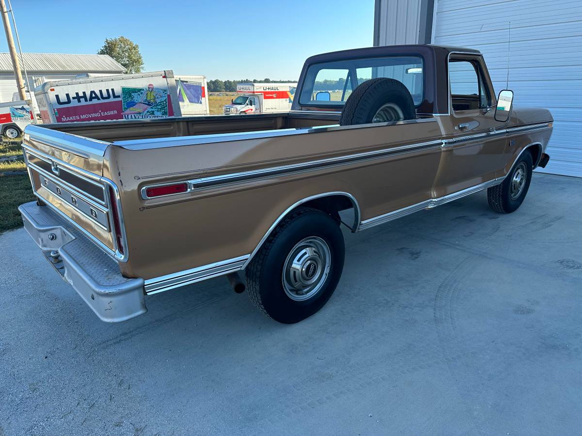 Ford-F-250-1976-brown-111246-3