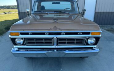 Ford-F-250-1976-brown-111246-4