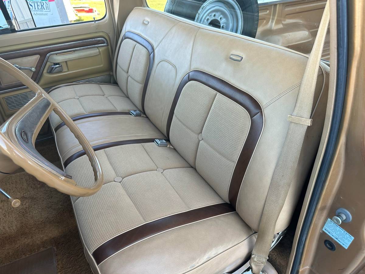 Ford-F-250-1976-brown-111246-6